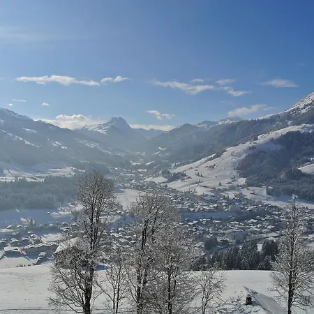 Hofwimmer Kirchberg en Tyrol