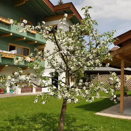 Hofwimmer Kirchberg en Tyrol