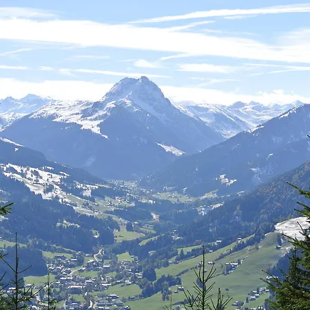 Hofwimmer
